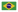 Portuguese (Brazil)